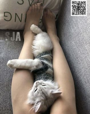 韩国电影免费播放_在线观看免费电影