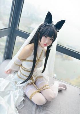 包贝尔电影《大人物》免费观看_DVDBD在线观看