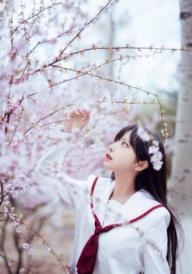 调教后入在线观看_HD高清在线观看